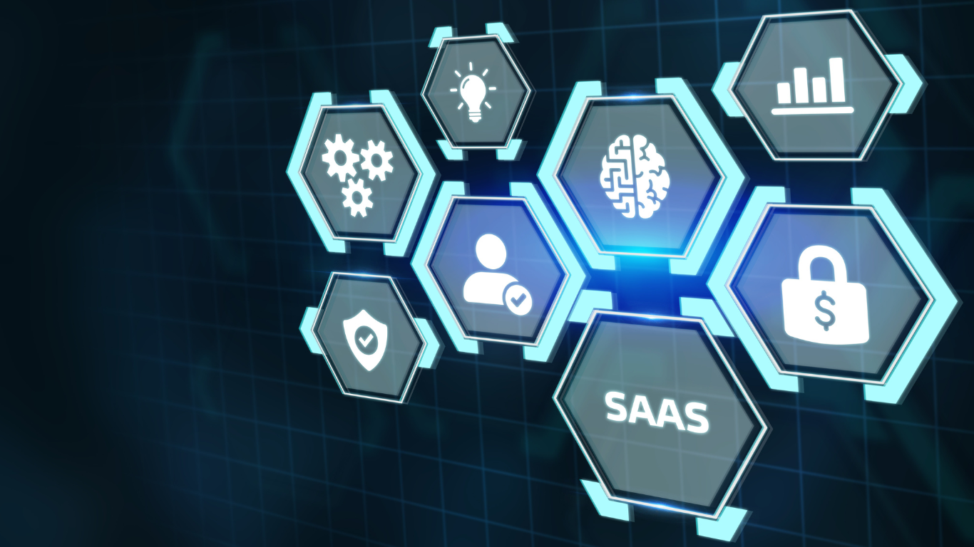 Optimización de Cartera: Decisiones Informadas con Software